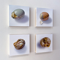 Perpetual Dusk, installed, 2021
